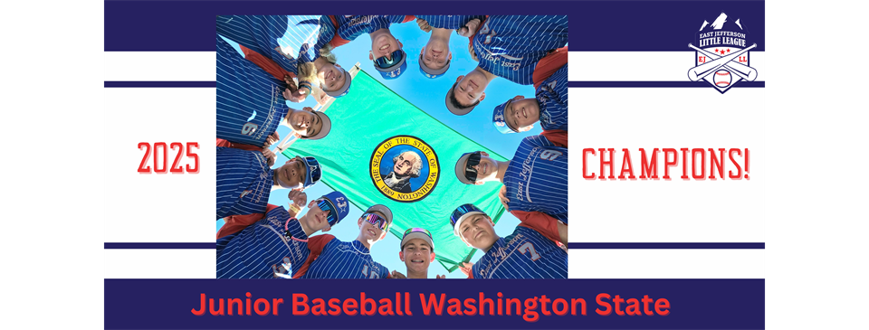 Junior Baseball Washington State Champions!